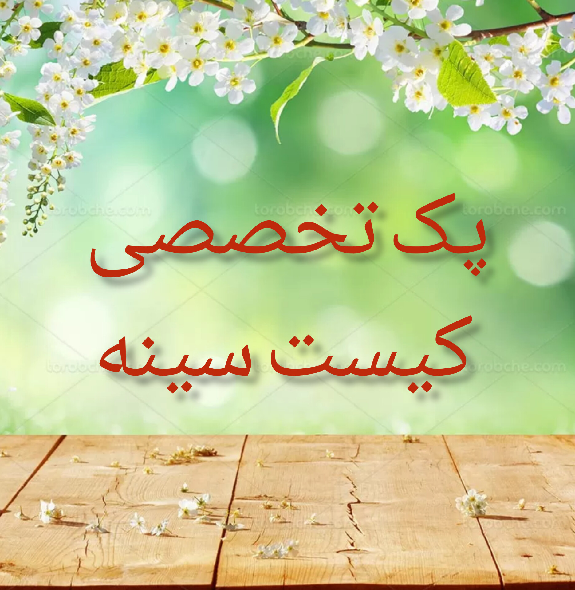 پک تخصصی کیست سینه