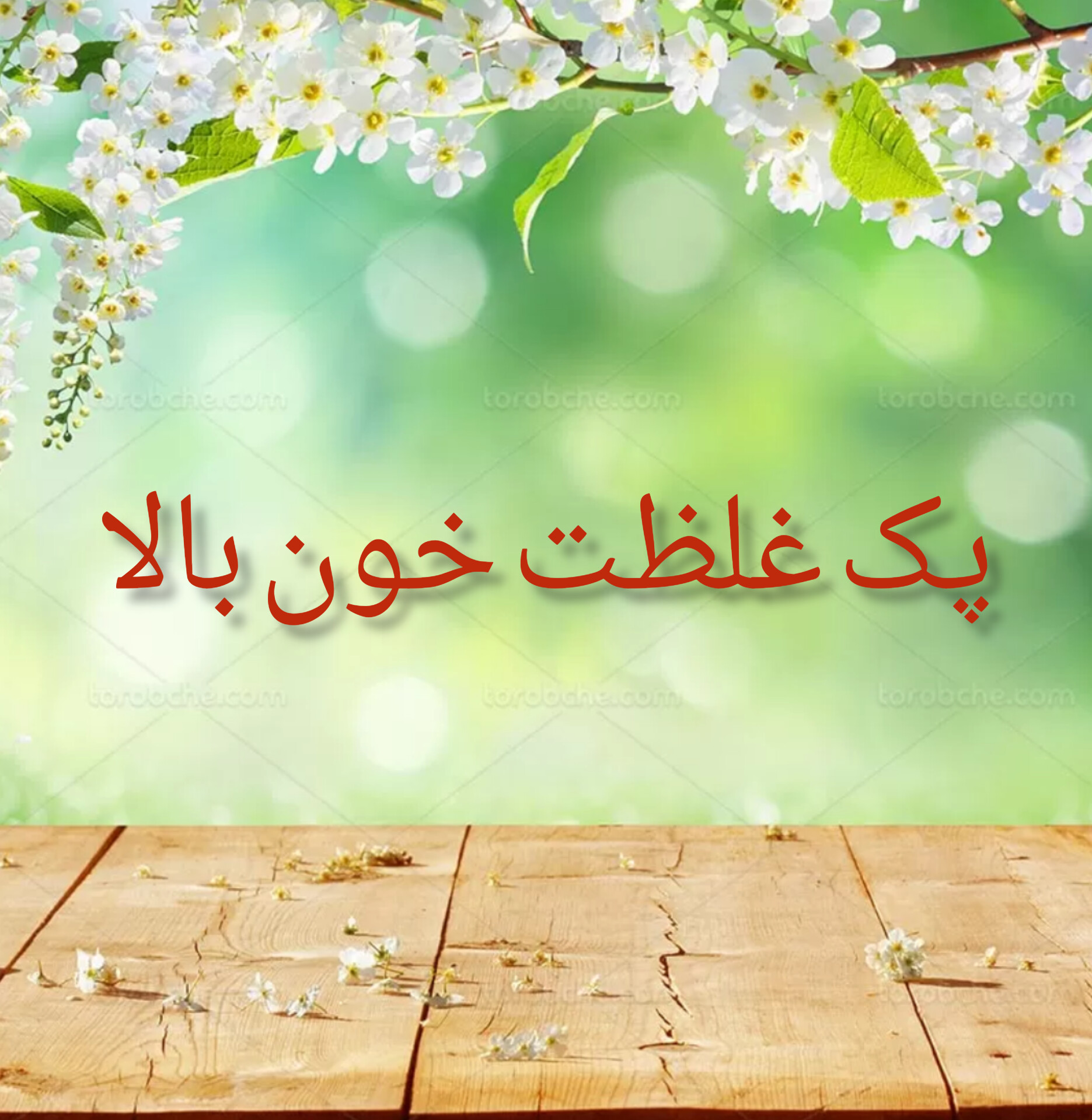 پک تخصصی غلظت خون بالا