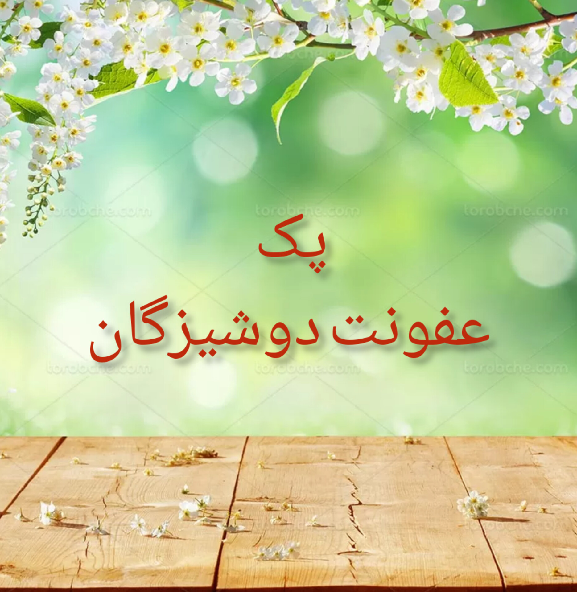 پک عفونت رحم دوشیزگان