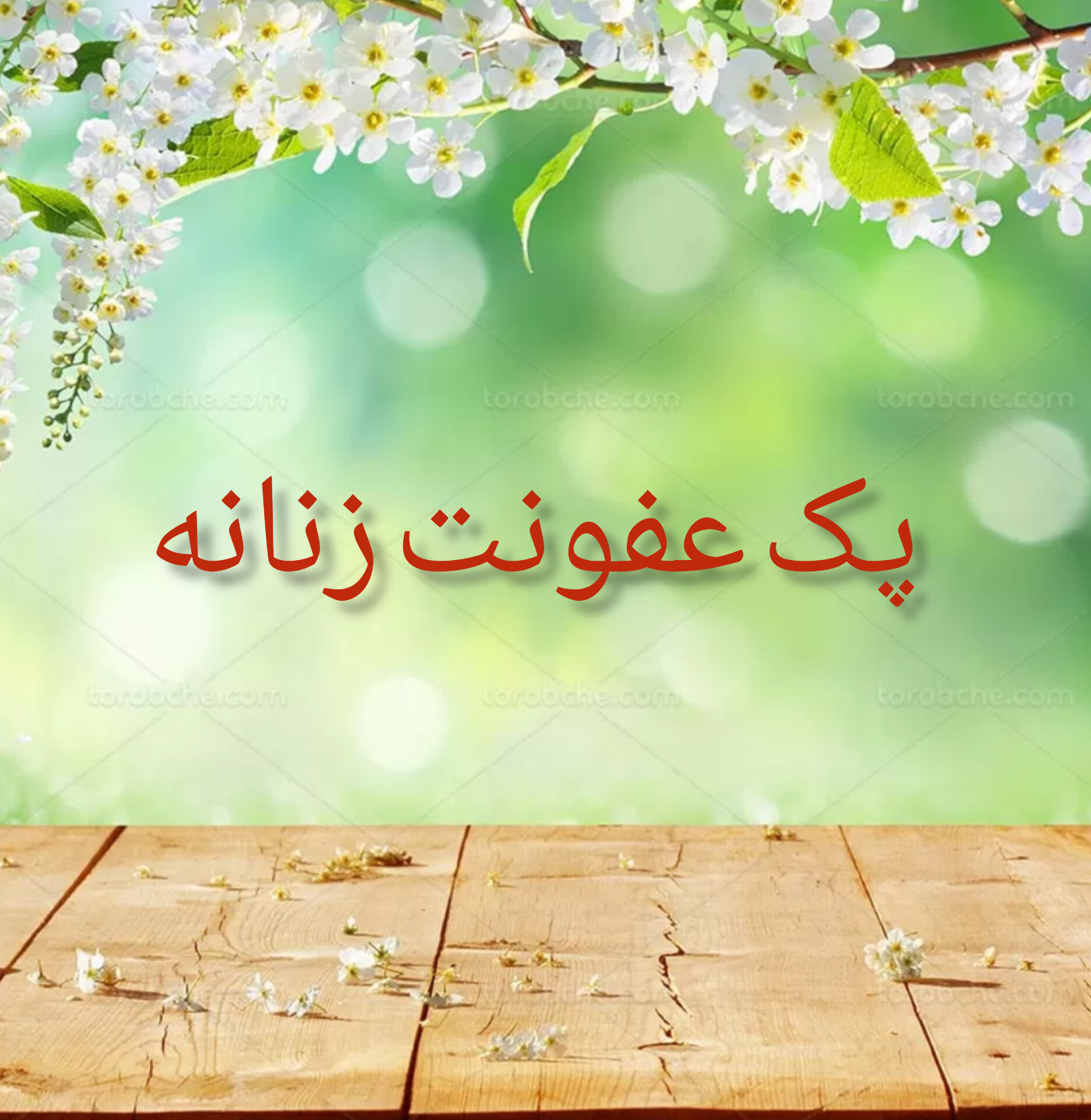 پک عفونت رحم زنان (مخصوص زنان)