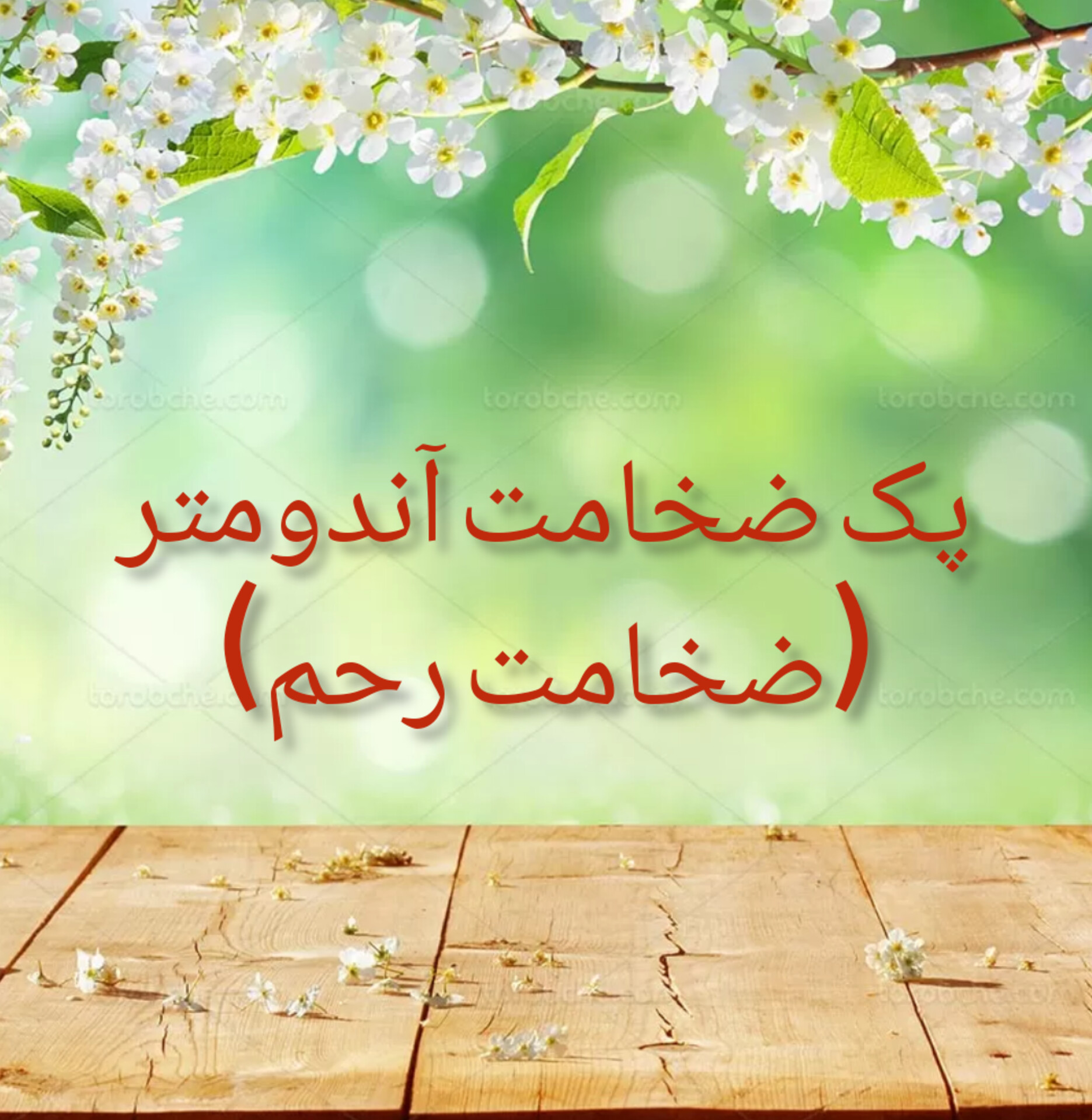 پک ضخامت آندومتر (ضخامت رحم)