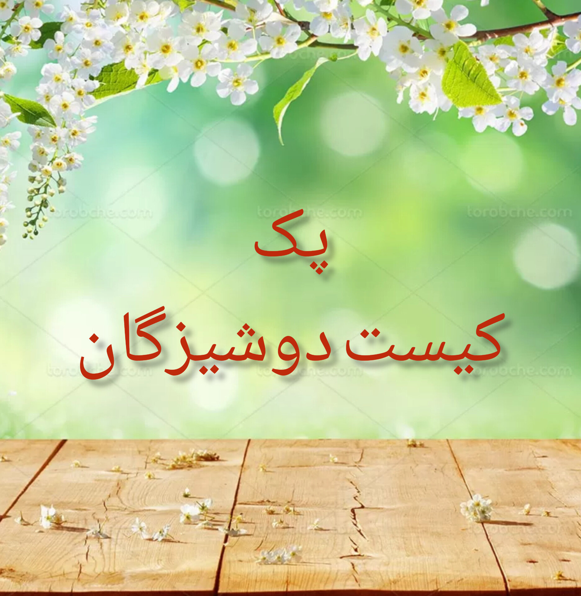 پک تخصصی کیست دوشیزگان