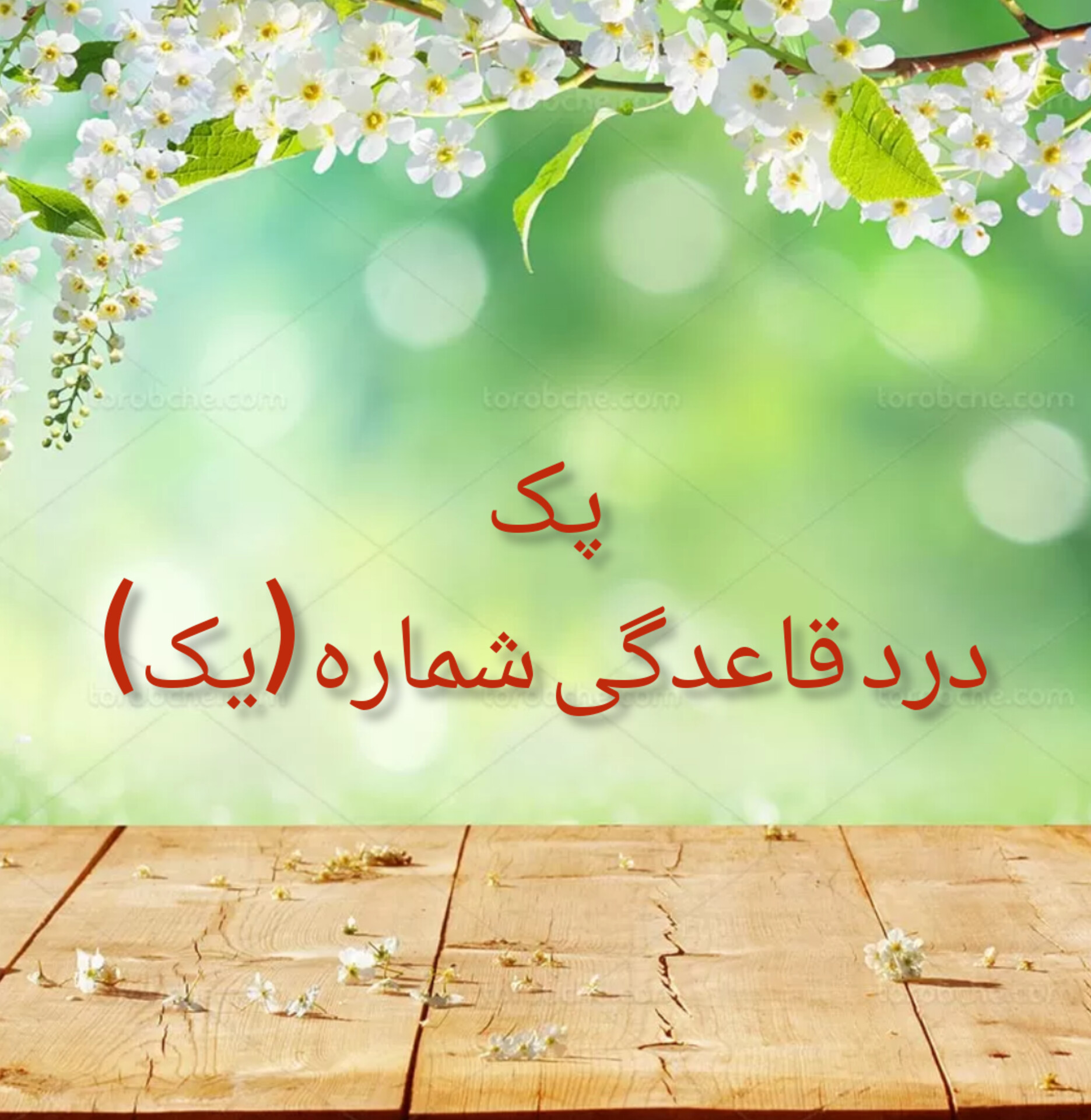 پک درد قاعدگی (شماره یک)